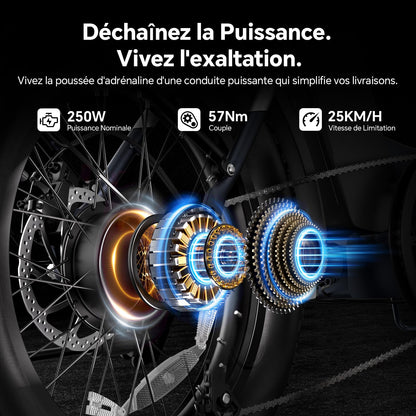 Touroll S2/ S2 Pro Vélo Électrique Pliable Tout-Terrain, 20"×4.0" Fat Tire, 150KM Autonomie, Batterie 720Wh Amovible, Moteur 250W Vélo Électrique Gros Pneu 7 Vitesses, E-Bike Urbain pour Adulte