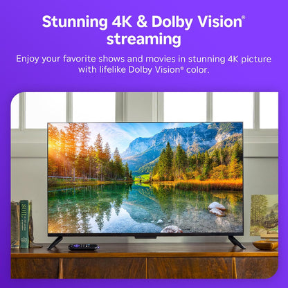 Roku Streaming Stick 4K